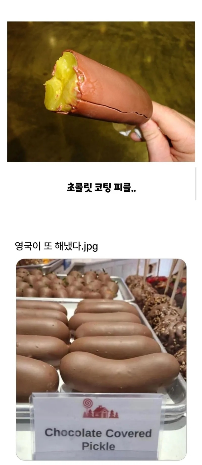영국이 또 해냄 | 인스티즈
