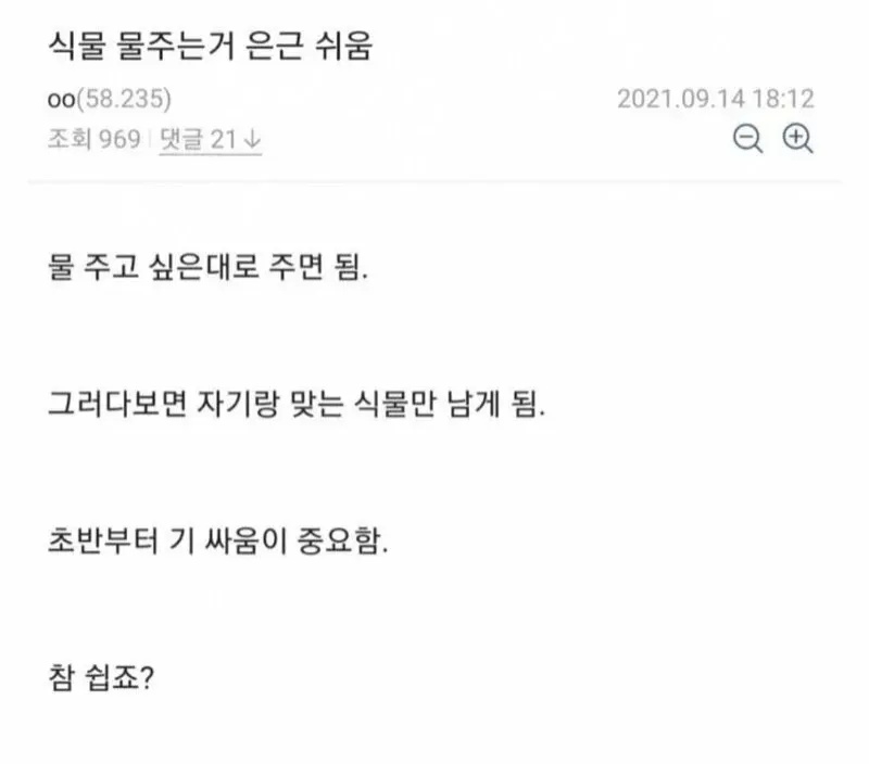식물 쉽게 키우는 방법 | 인스티즈
