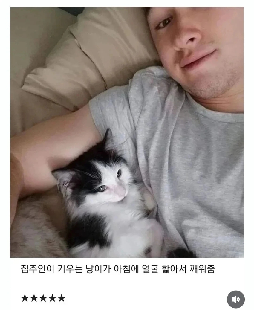 에어비앤비 숙소 별점 5점 준 이유 | 인스티즈