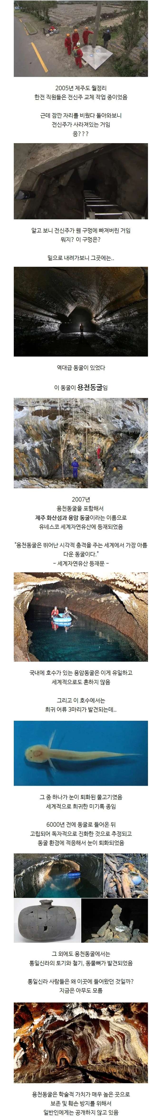 전신주 교체하다가 발견한 역대급 동굴과 희귀종 물고기 | 인스티즈