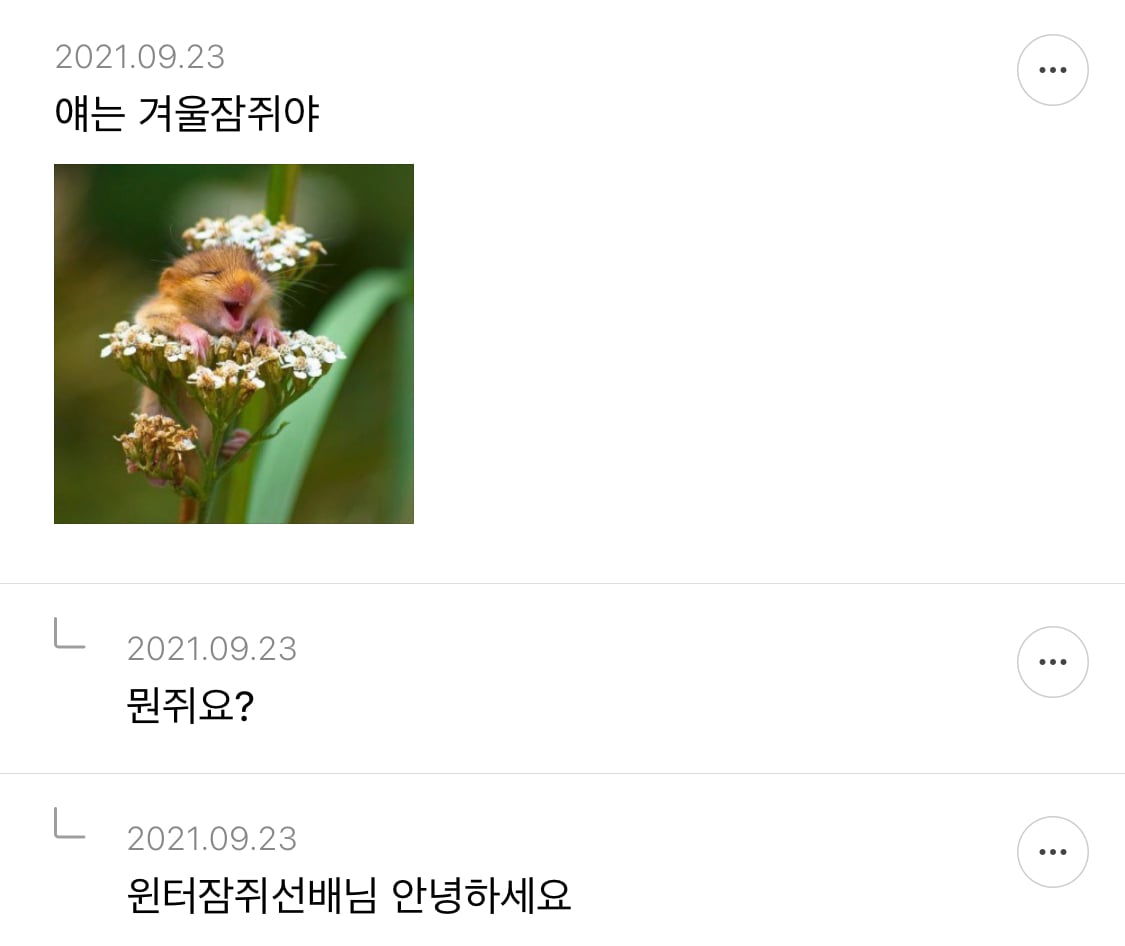 쥐띠만한 개노간지 띠도 없다고 생각하는 달글 캡쳐ㅋㅋㅋㅋ.jpg | 인스티즈