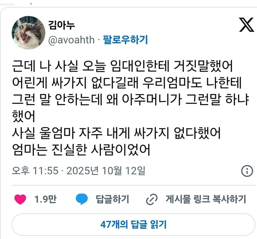 나 사실 오늘 임대인한테 거짓말했어 | 인스티즈