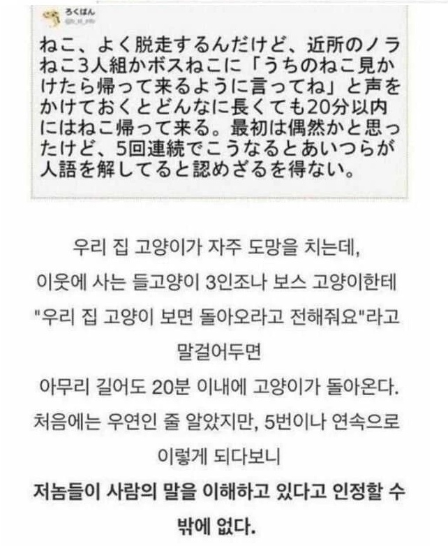 의외로 사람 말을 알아듣는 존재 | 인스티즈