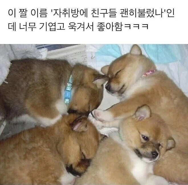 자취방에 친구 부른걸 후회함 | 인스티즈