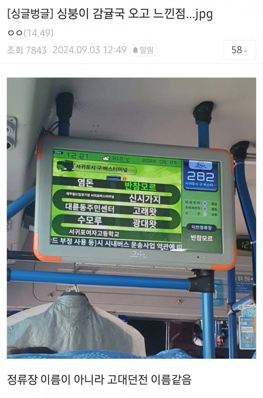 제주도 버스 정류장 특징 | 인스티즈