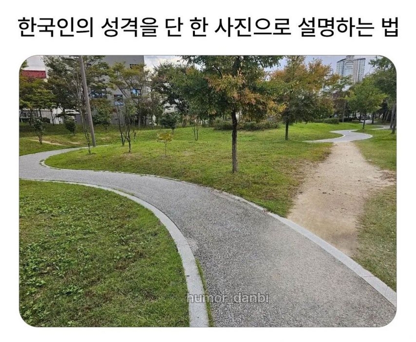 한국인의 성격을 사진 한 장으로 설명 | 인스티즈