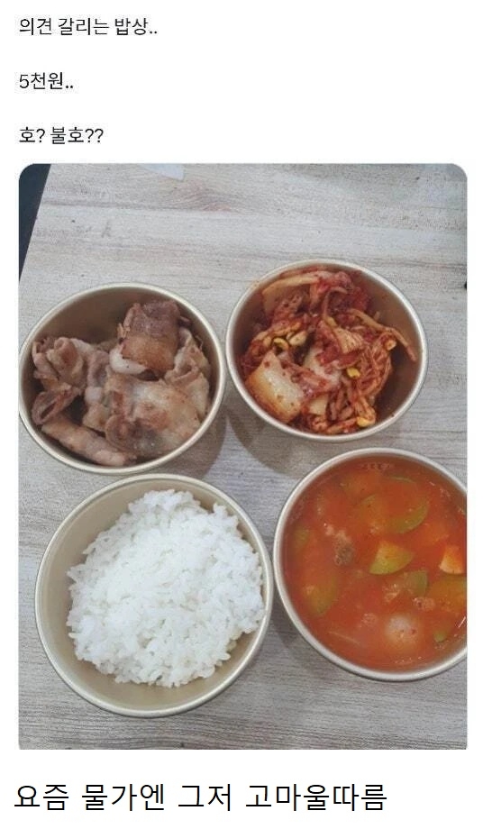 의견 갈린다는 5000원 식단 | 인스티즈