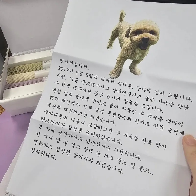 입양 보낸 강아지가 편지를 보내왔다 | 인스티즈