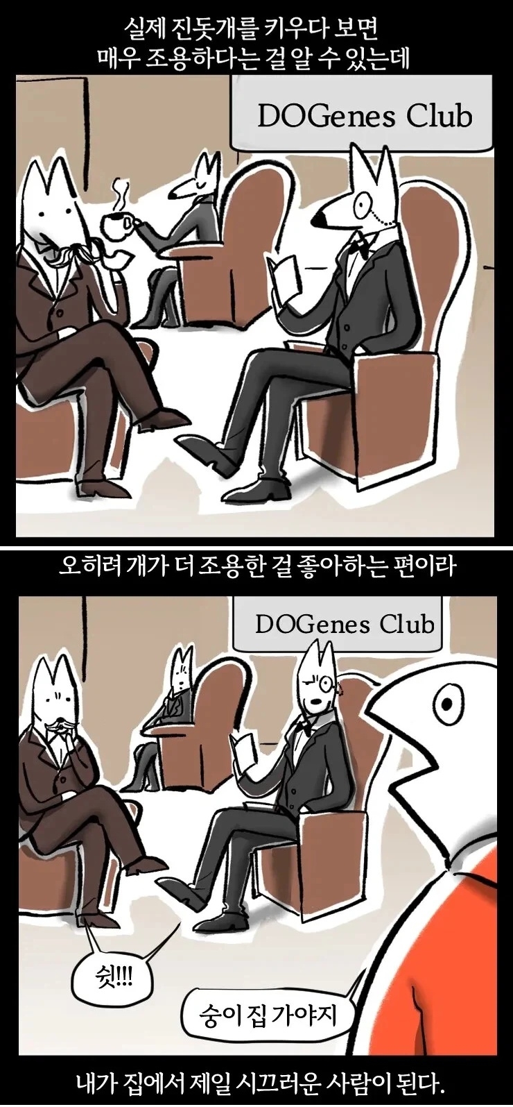 진돗개를 키우면 알게되는 놀라운 사실 | 인스티즈