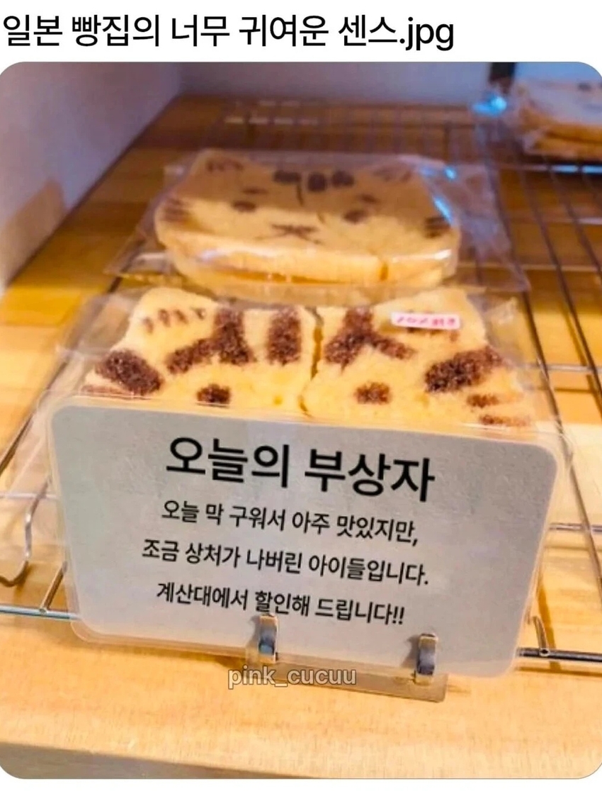 일본 빵집의 귀여운 센스 | 인스티즈