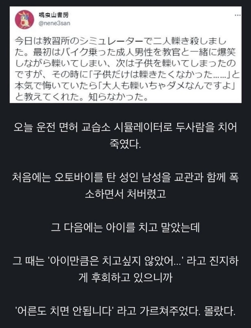 아이만큼은 치고싶지 않았다는 운전자 | 인스티즈