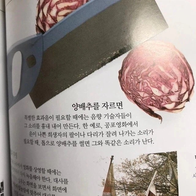 사람을 자를 때 나는 소리 | 인스티즈