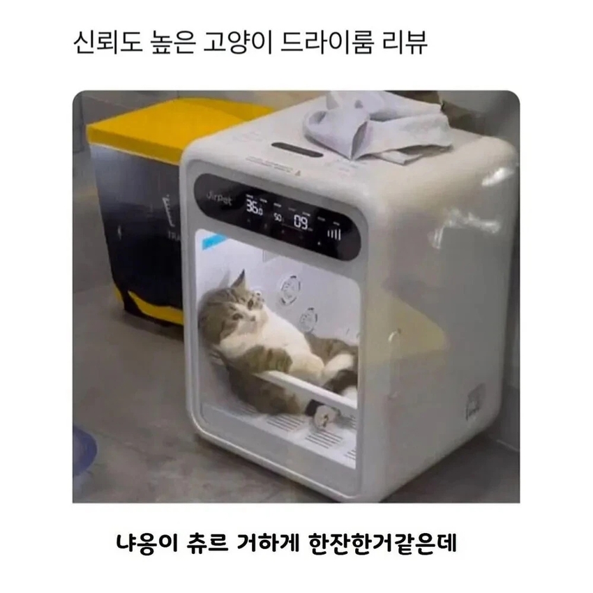신뢰도 높은 고양이 드라이룸 리뷰 | 인스티즈