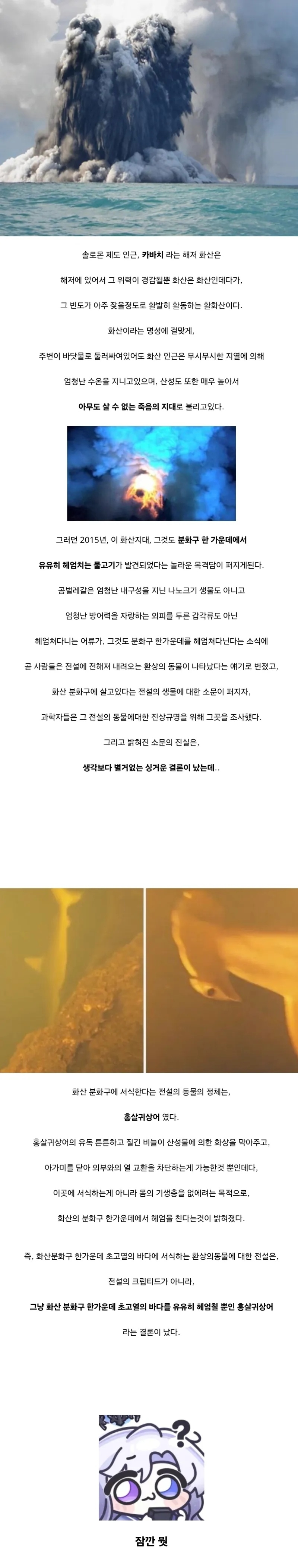 화산 분화구에 살고있다는 전설의 동물 | 인스티즈