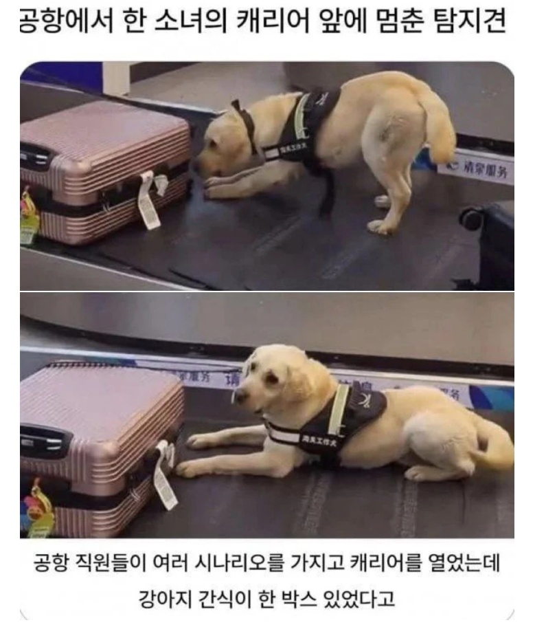 비리 공무원 | 인스티즈