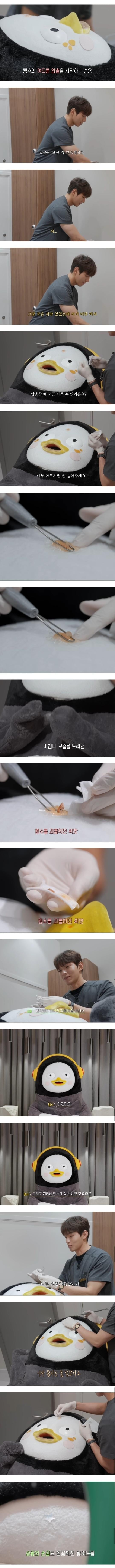 여드름 압출하는 펭수 | 인스티즈