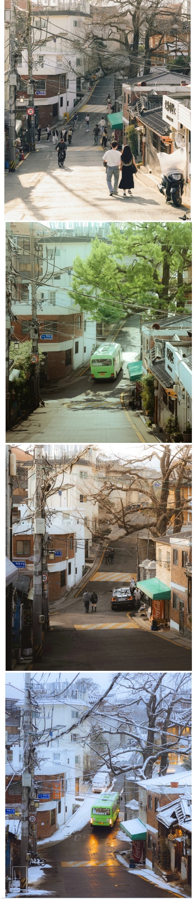 외국인이 찍은 창덕궁길 사계절 모습 | 인스티즈