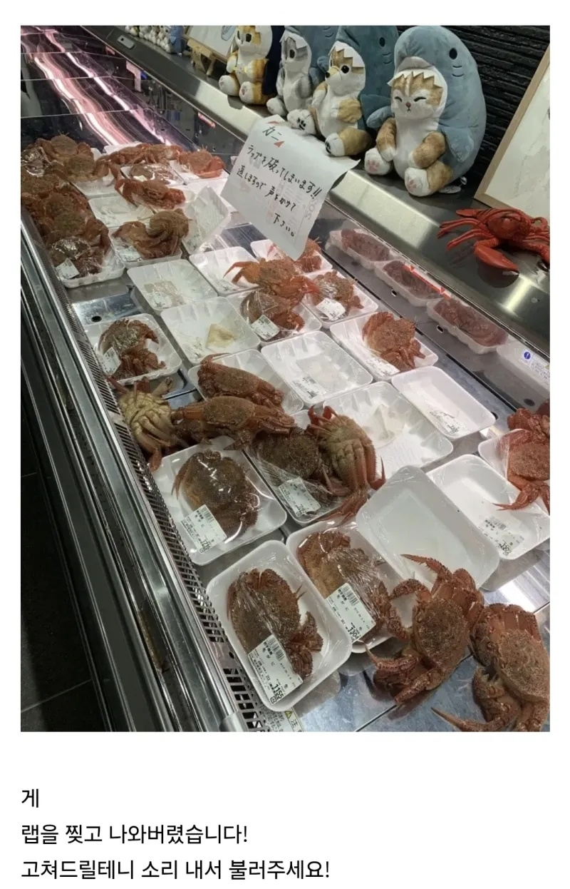 게가 너무 신선해서 돌아다니고 있음 | 인스티즈