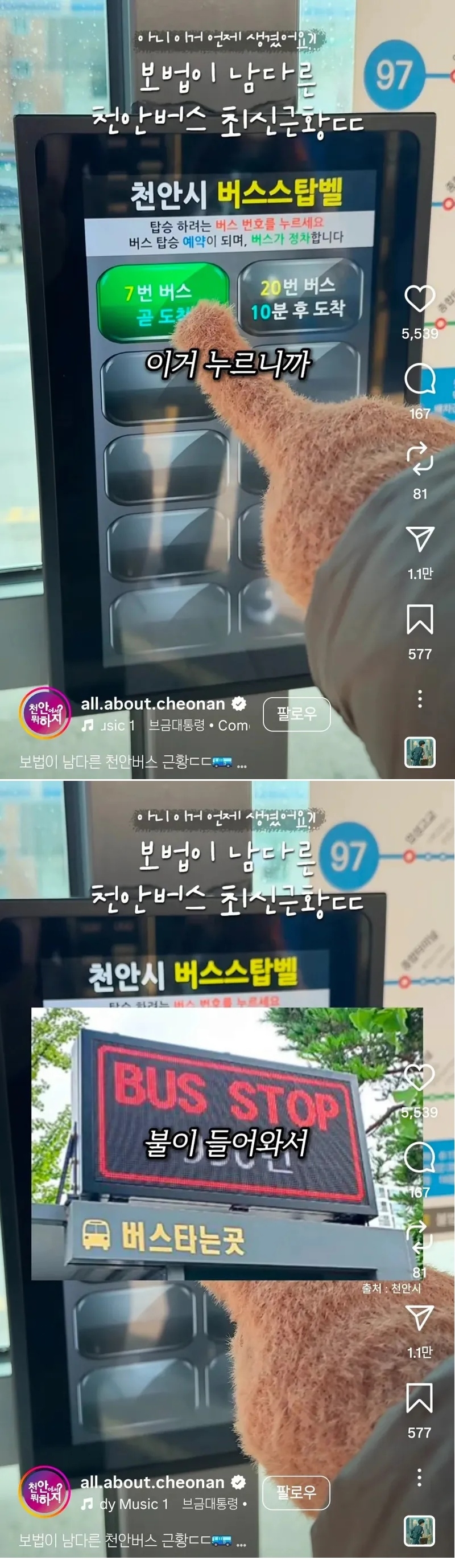 보법이 다른 천안버스 근황 | 인스티즈