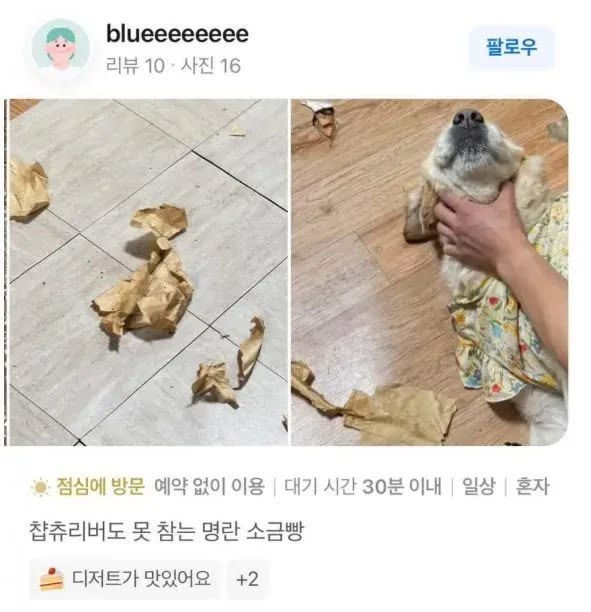 싱글벙글 명란소금빵 리뷰 | 인스티즈