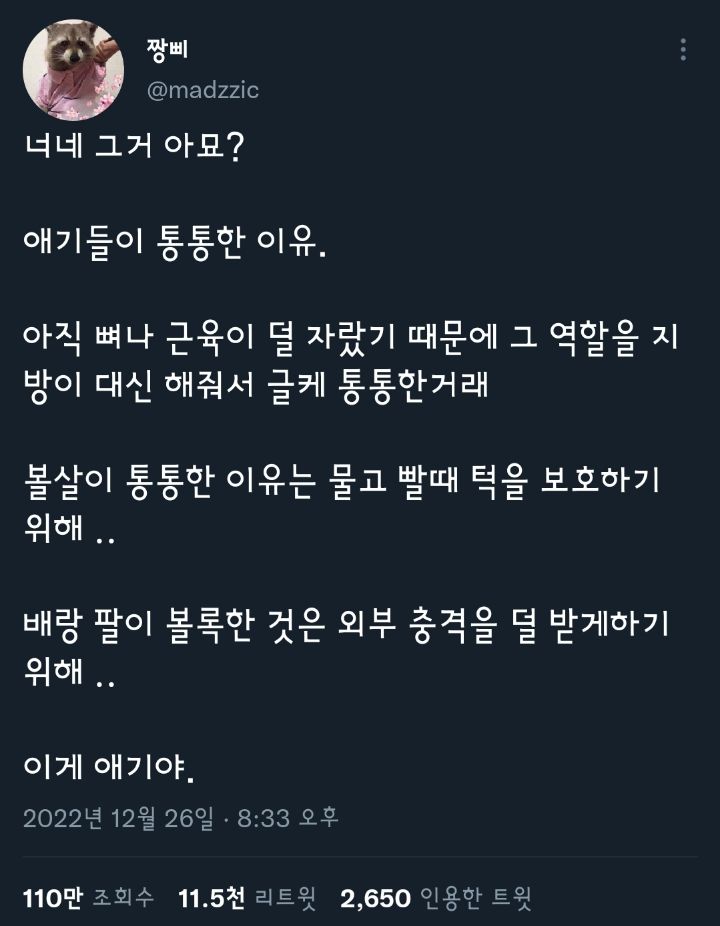 그거 아세요? 애기들이 통통한 이유 | 인스티즈