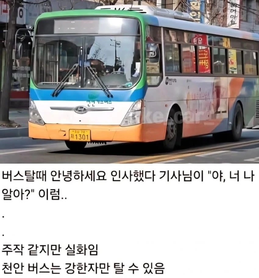 천안 사람들 이거 진짜예요? | 인스티즈