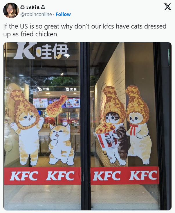 프라이드 치킨 옷을 입은 고양이(중국 KFC) | 인스티즈