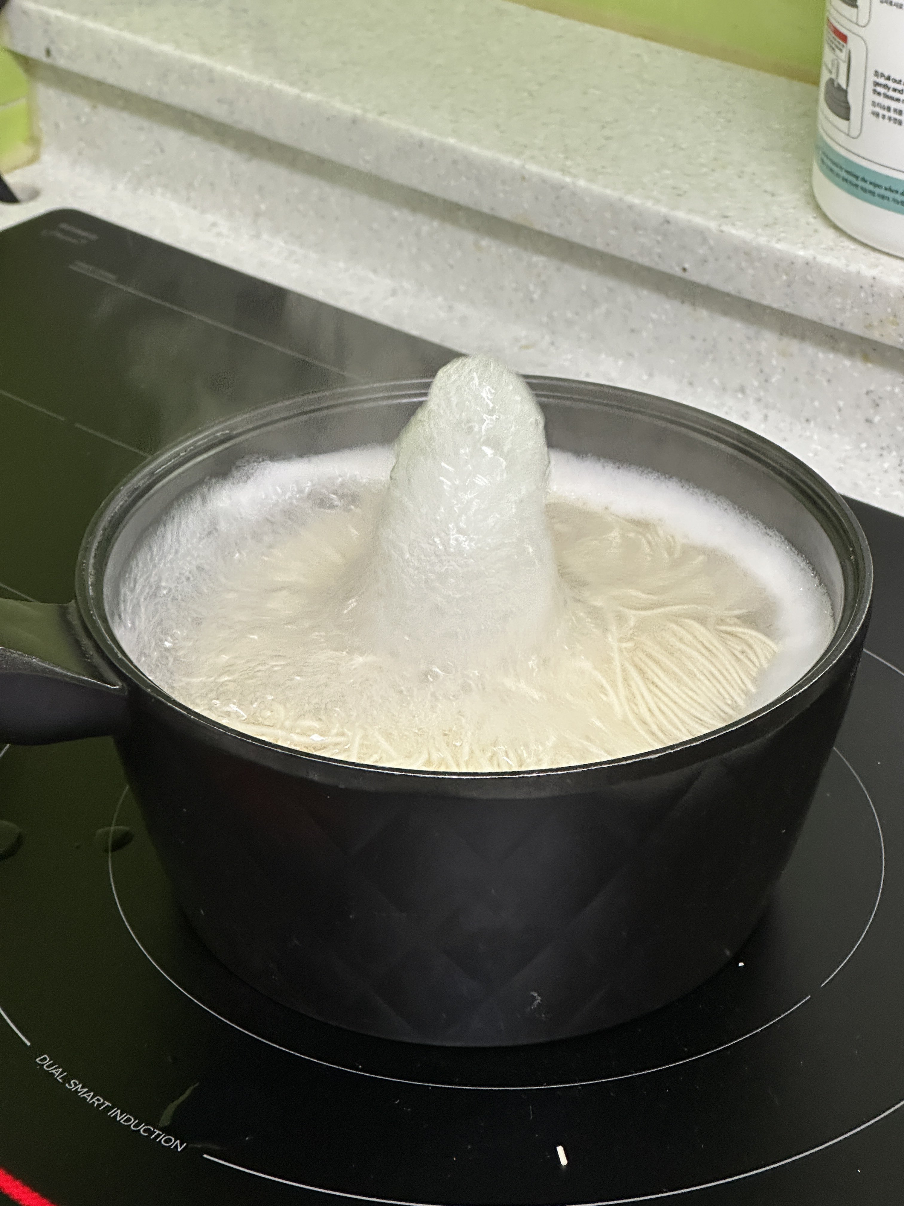 인덕션 넘침 방지모드를 처음 켜봤는데, 웬 산신령이 나오는줄 알았음 | 인스티즈