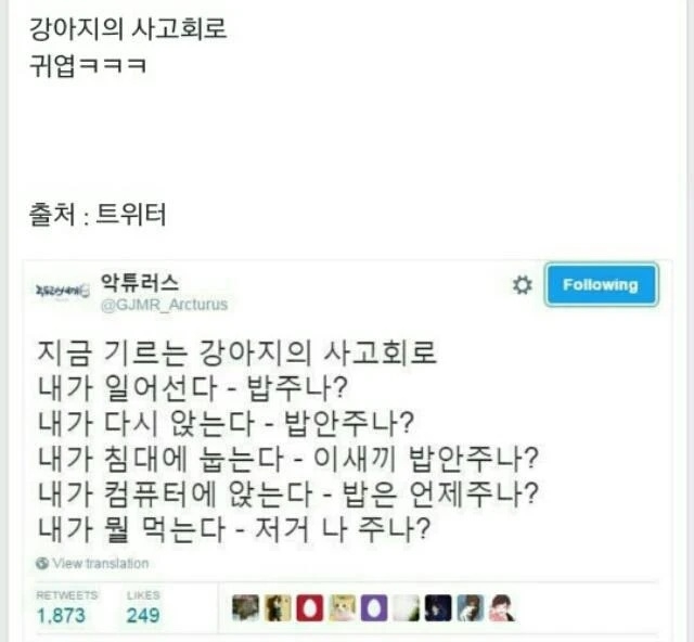 강아지의 사고 회로 | 인스티즈