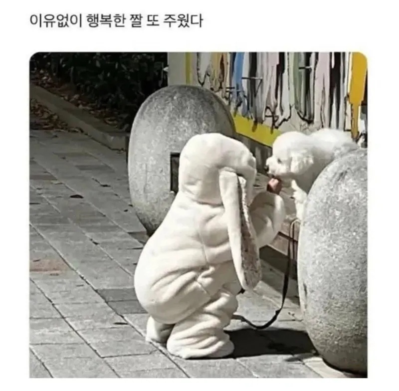행복한 짤을 주웠다 | 인스티즈