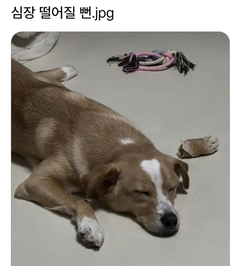 심장 떨어질 뻔 | 인스티즈
