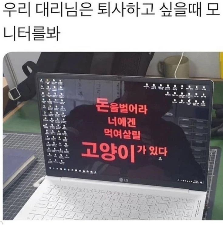퇴사하고 싶을 때 보는 배경화면 | 인스티즈