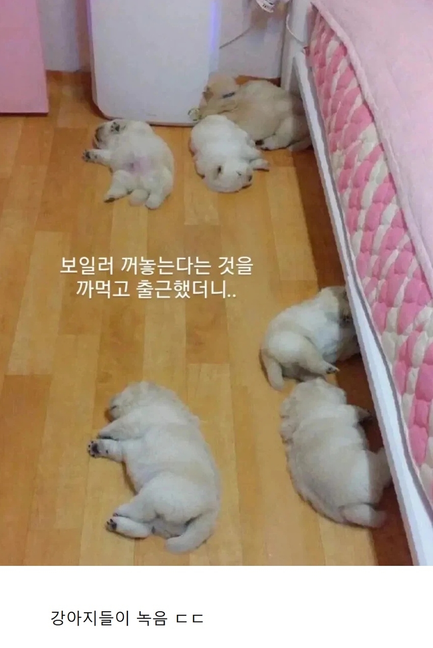보일러 끄는걸 깜빡하고 출근해서 생긴 대참사 | 인스티즈