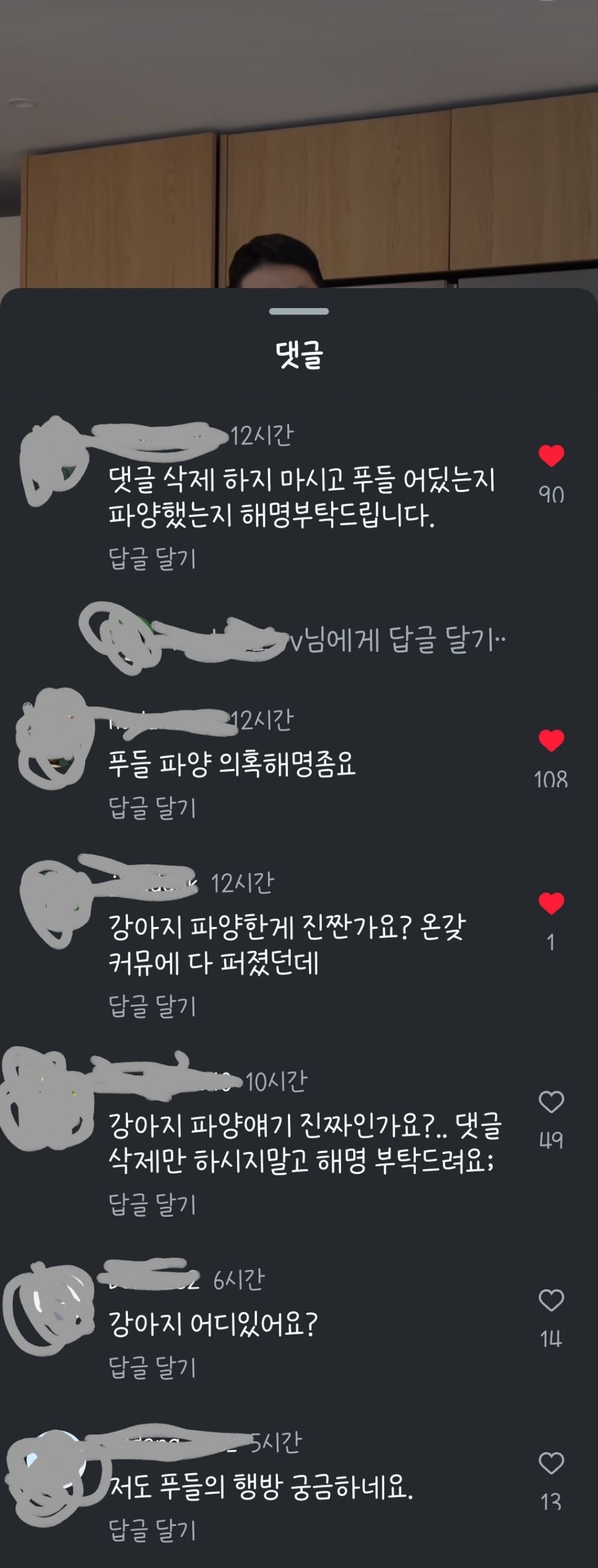 현재 파양 의혹 받고있는 인플루언서 해리포터 | 인스티즈