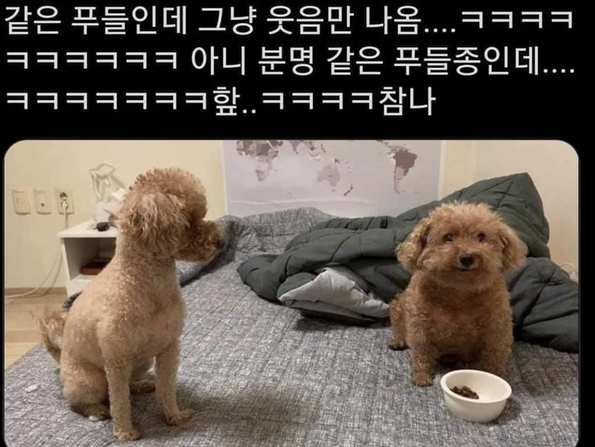 얘가 얘 낳음 | 인스티즈