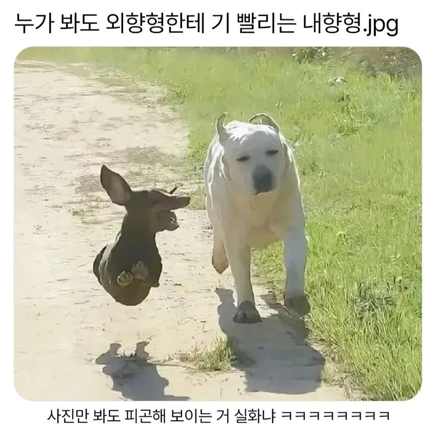 누가봐도 외향형한테 기 빨리는 내향형 | 인스티즈