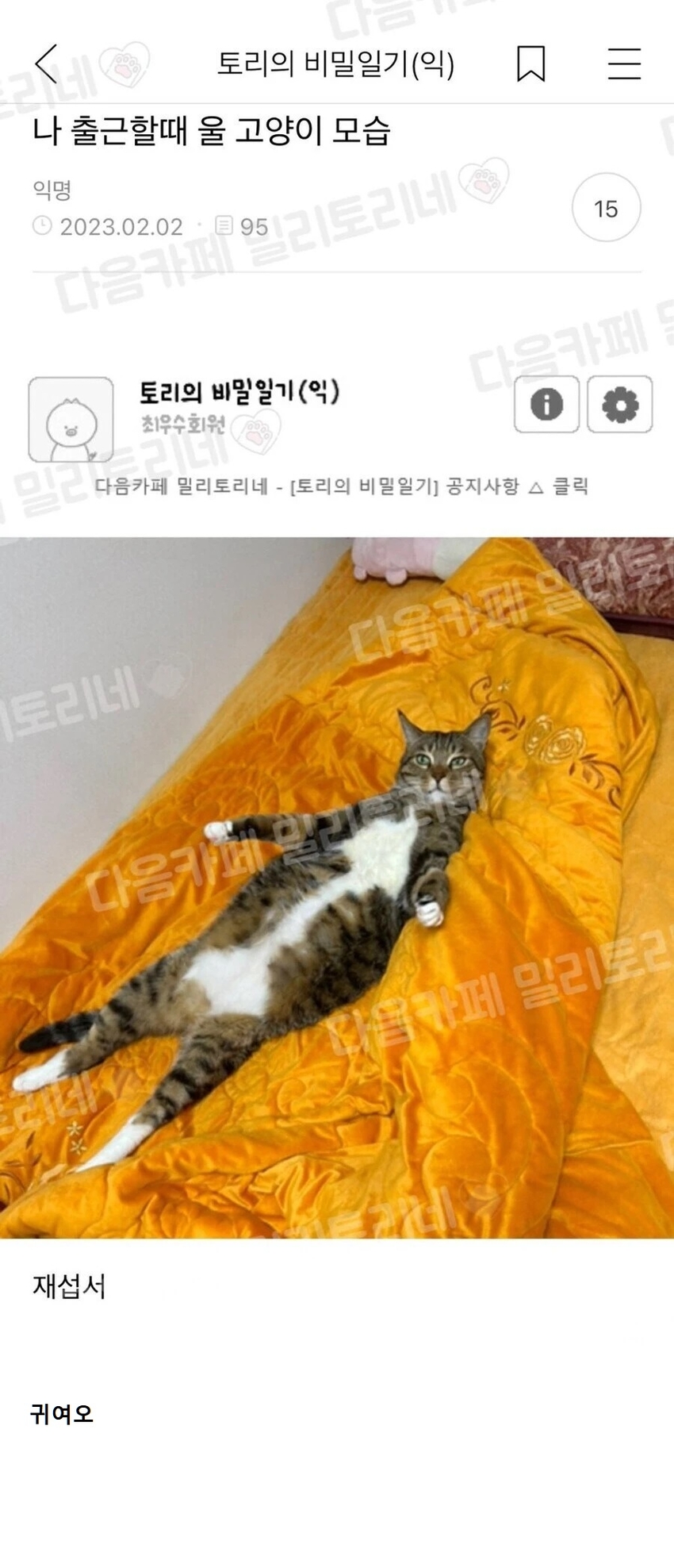 나 출근할때 울 고양이 모습 | 인스티즈