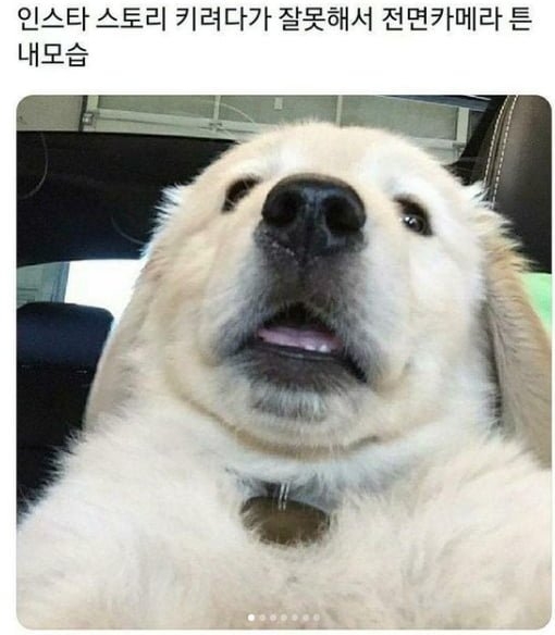 제일 깜짝 놀라는 순간 | 인스티즈