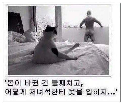 다시 태어나보니 더 큰 문제가 발생했다 | 인스티즈
