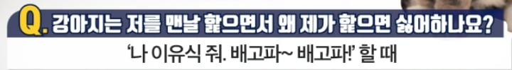 강아지는 저를 맨날 핥으면서 왜 제가 핥으면 싫어하나요? | 인스티즈