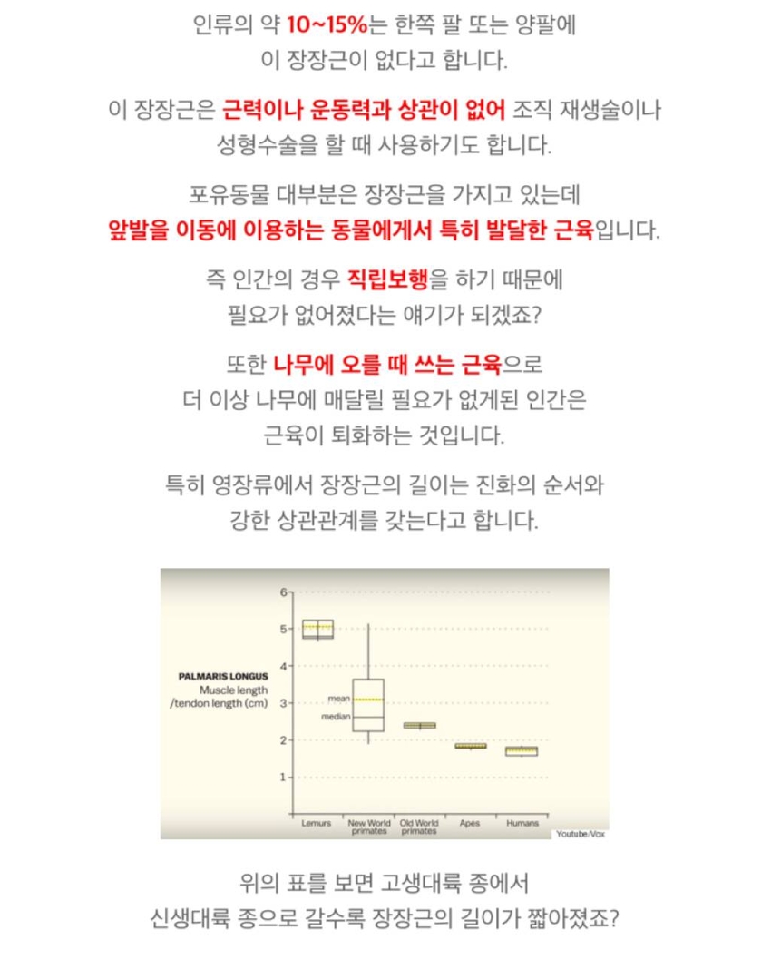 사람들 중 10프로만 없다는 근육 | 인스티즈