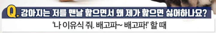강아지는 저를 맨날 핥으면서 왜 제가 핥으면 싫어하나요? | 인스티즈