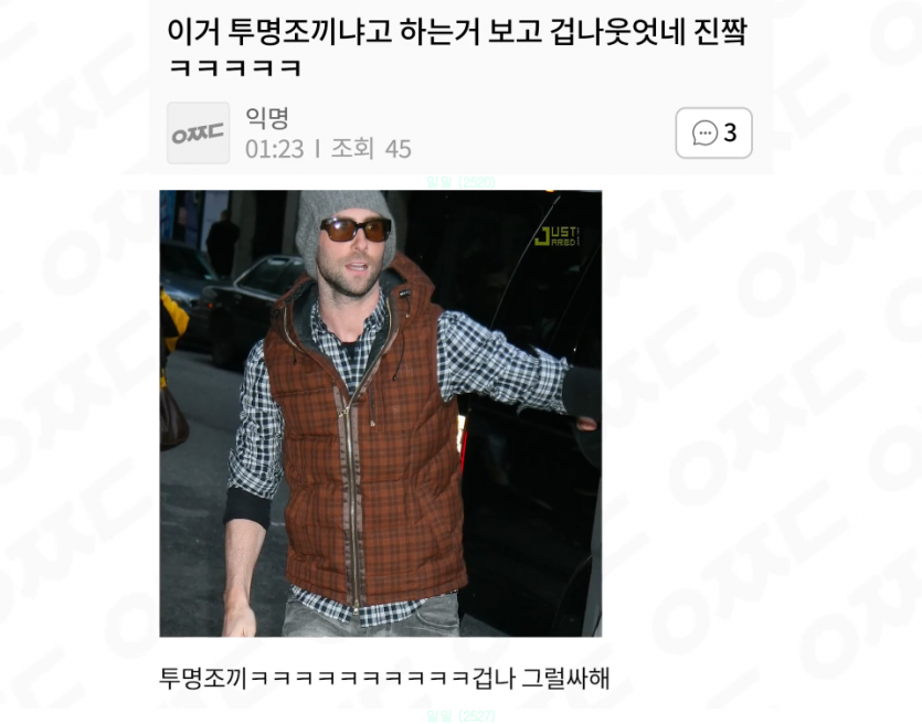 투명조끼 같은데? | 인스티즈