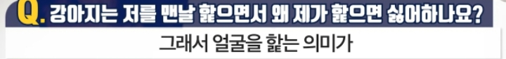 강아지는 저를 맨날 핥으면서 왜 제가 핥으면 싫어하나요? | 인스티즈