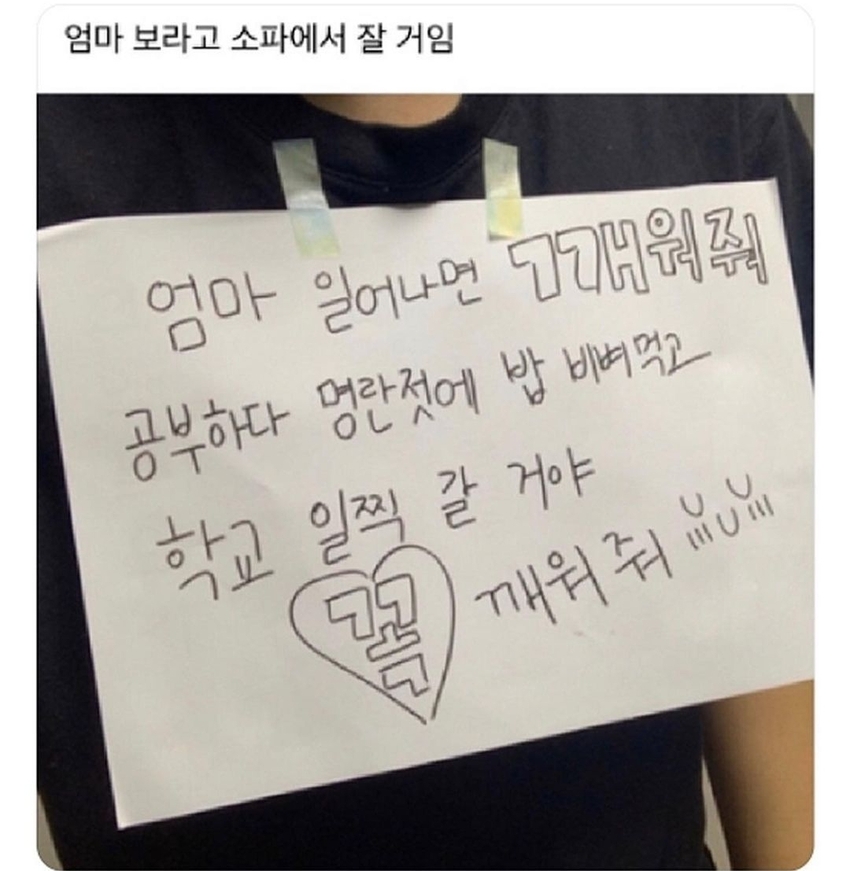 엄마 보라고 소파에서 잘거임 | 인스티즈