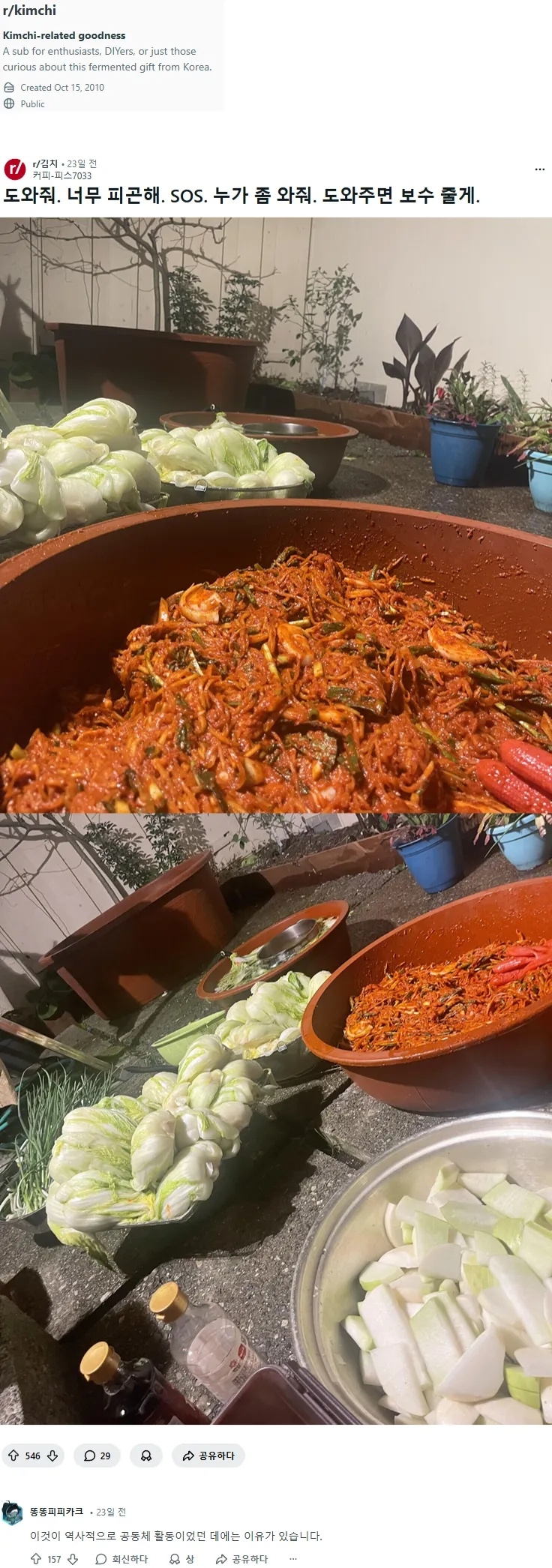 레딧 김치 게시판에 올라온 김장글 | 인스티즈