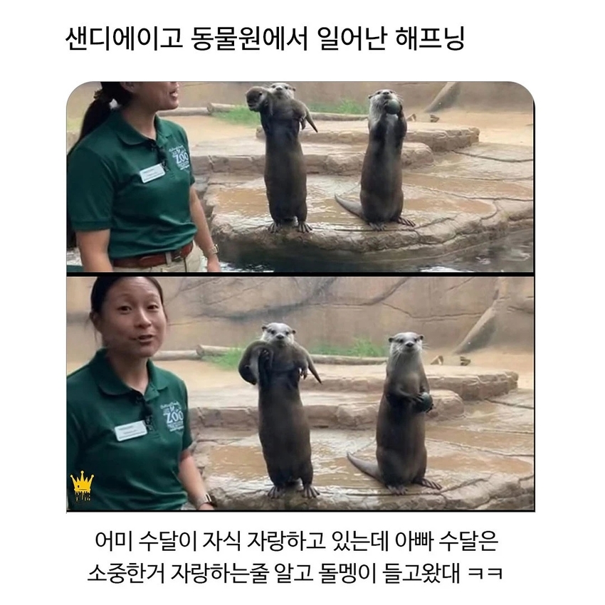 귀여운 거 보고싶다 | 인스티즈