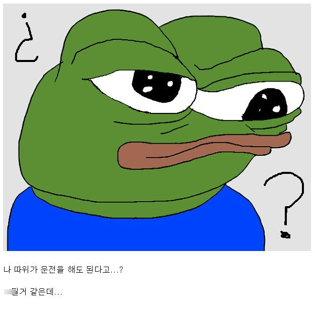 운전면허 땄을 때 공감 | 인스티즈