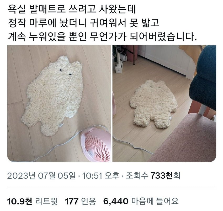 욕실 발매트로 쓰려고 사왔는데 | 인스티즈