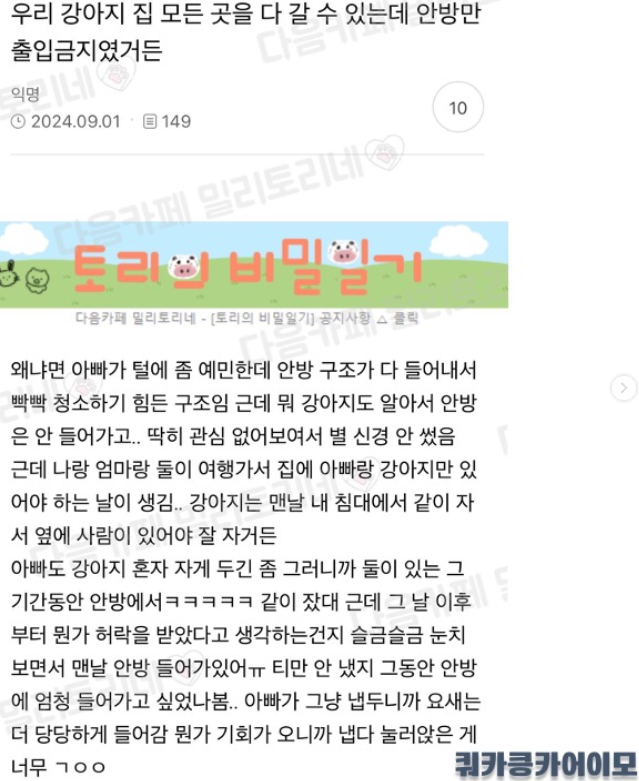 우리 강아지 집 모든 곳을 다 갈 수 있는데 안방만 출입 금지였거든 | 인스티즈